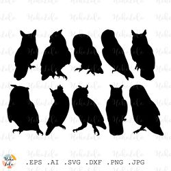 owl svg, owl silhouette, owl cricut, stencil template dxf, clipart png, bird svg, bird cricut, halloween svg