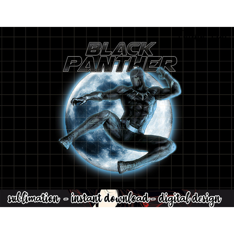 Marvel Black Panther Moonlit Leaping Kick Graphic png, sublimation .jpg