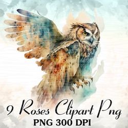cute owl watercolor clipart sublimation