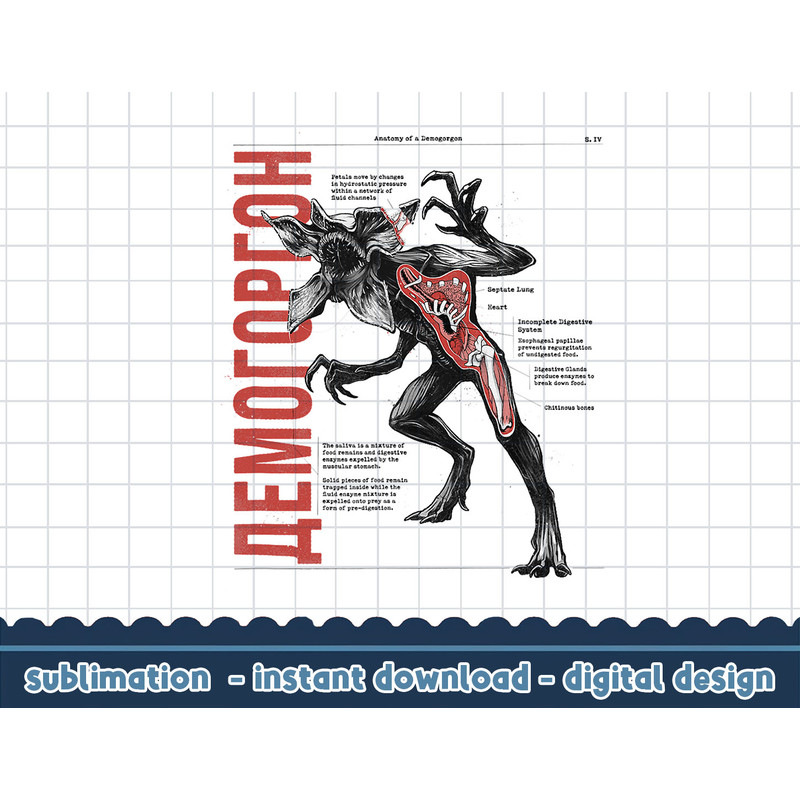 Stranger Things 4 Demogorgon Biology V1 png,digital print.jpg