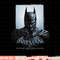 Batman Arkham Origins Two Sides T Shirt png, digital print,instant download.jpg