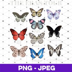 the eras tour butterfly vintage png, taylor swift album png, ts eras tour png, the eras tour 2023 png, swiftie merch png