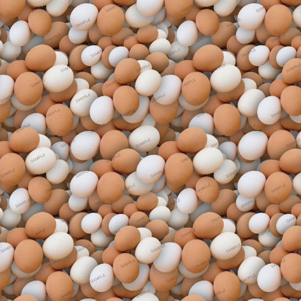 Eggs 22.jpg
