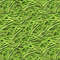 Green Beans 22.jpg