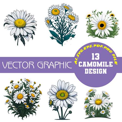 13 CAMOMILE Vector Digital File Ai.EPS.PDF.SVG,PNG Digital Download File