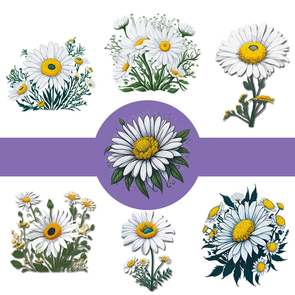 CAMOMILE FLOWER LISTING FOTO2.png