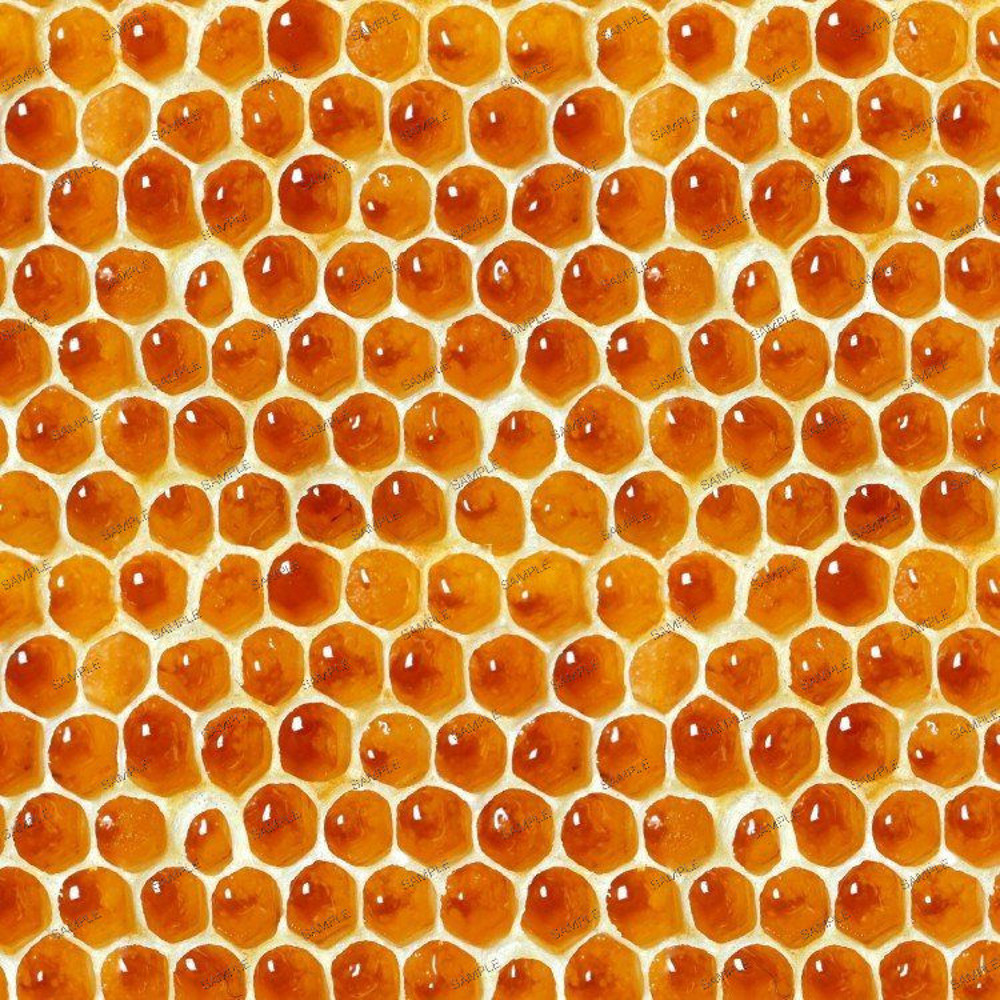 Honeycomb 22.jpg