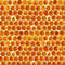 Honeycomb 22.jpg