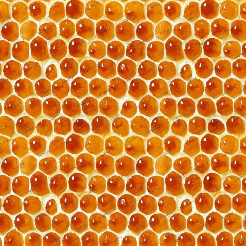 Honeycomb 22.jpg