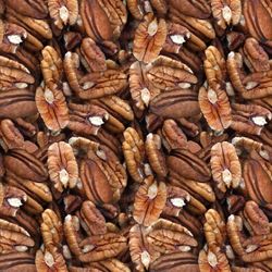 pecans seamless tileable repeating pattern