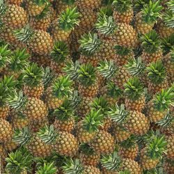 pineapples 22 seamless tileable repeating pattern