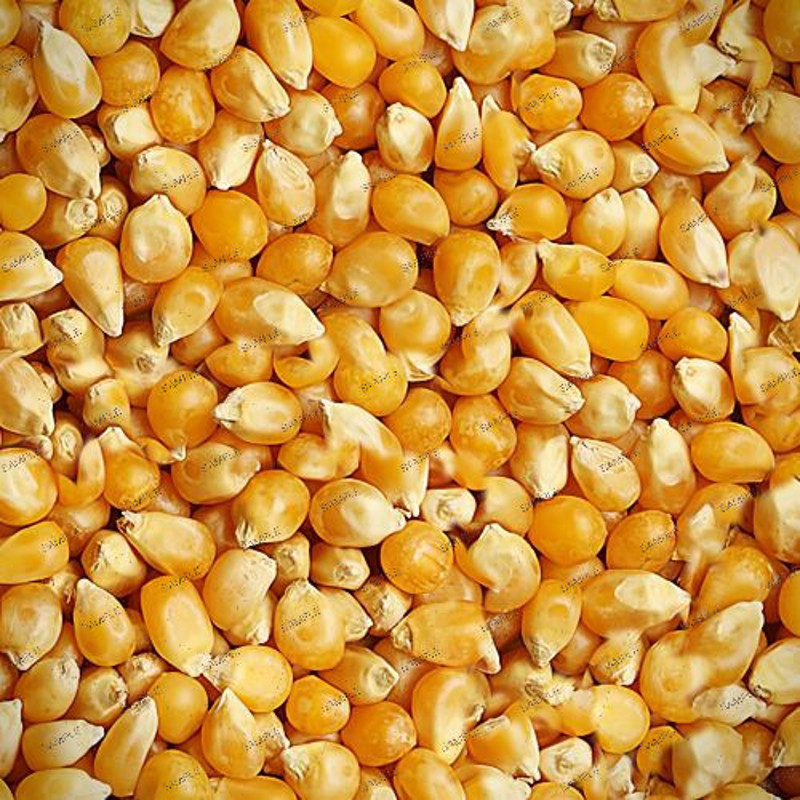 Popcorn 24.jpg