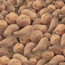 potatoes 22 seamless tileable repeating pattern