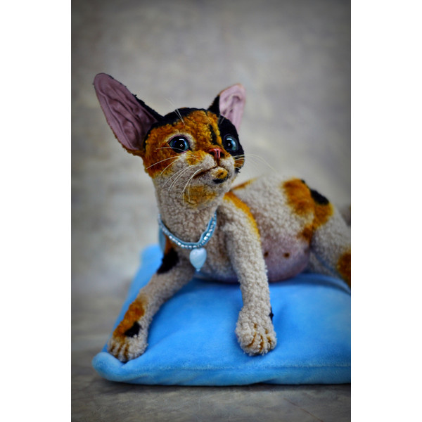 Devon Rex kitten.  Handmade toy. Art doll animal (3).JPG
