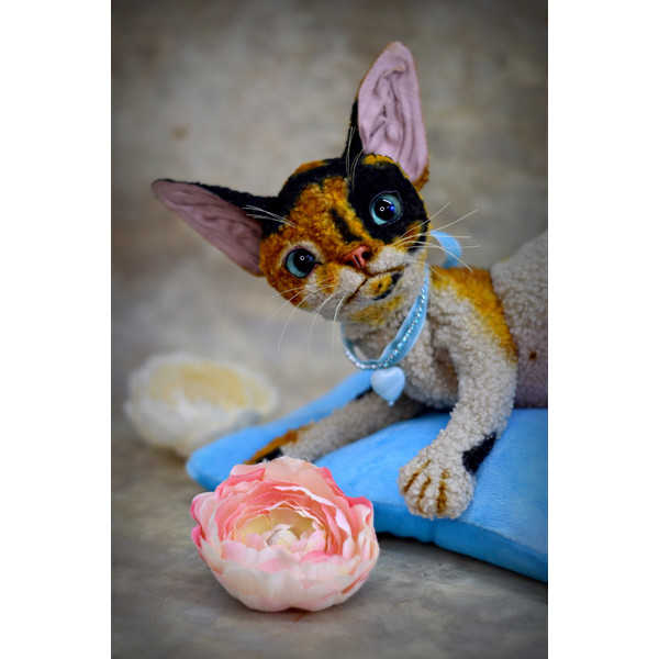 Devon Rex kitten.  Handmade toy. Art doll animal (4).JPG