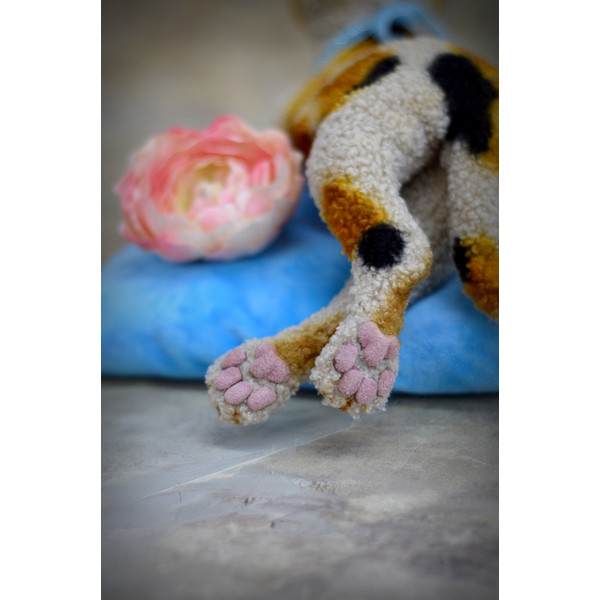 Devon Rex kitten.  Handmade toy. Art doll animal (5).JPG