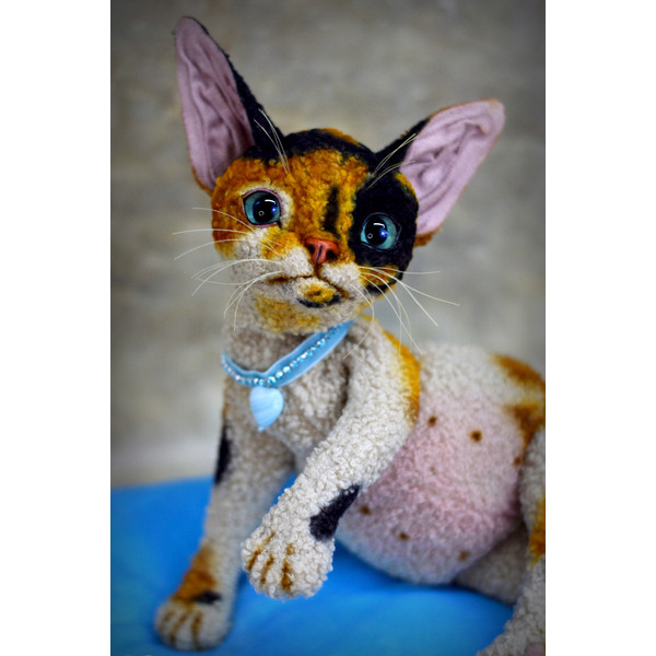 Devon Rex kitten.  Handmade toy. Art doll animal (10).JPG