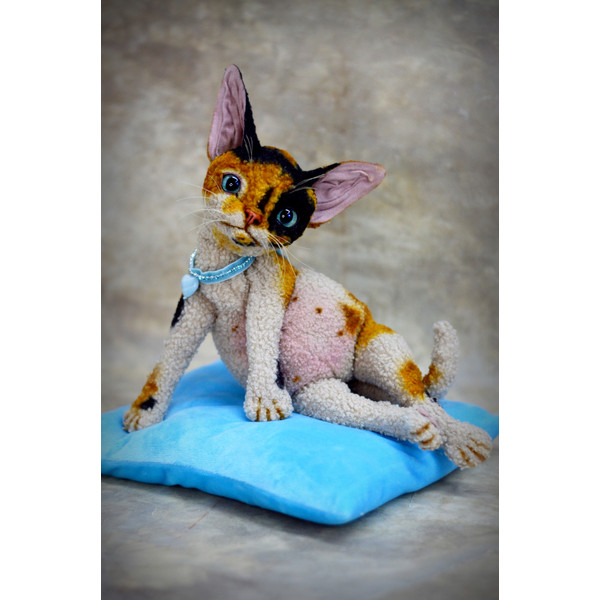 Devon Rex kitten.  Handmade toy. Art doll animal (9).JPG