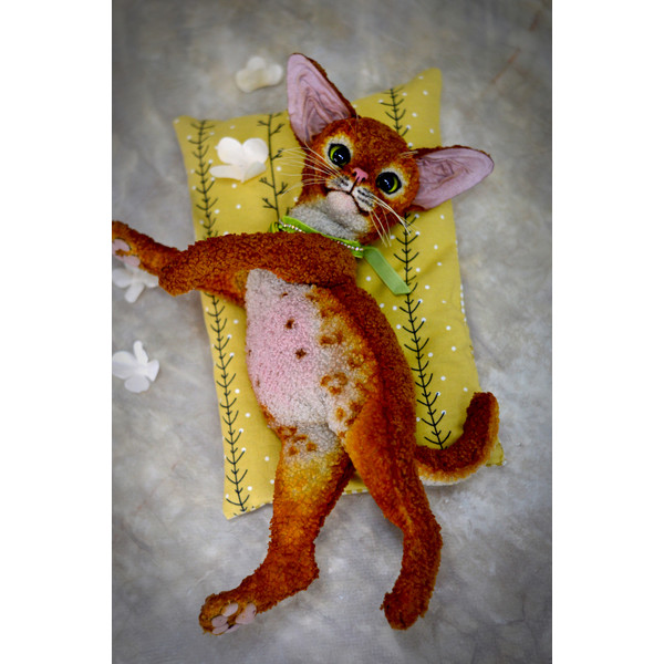 devon Rex kitten. red cat handmade (1).JPG