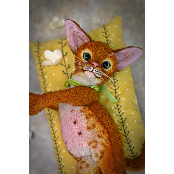 devon Rex kitten. red cat handmade (2).JPG