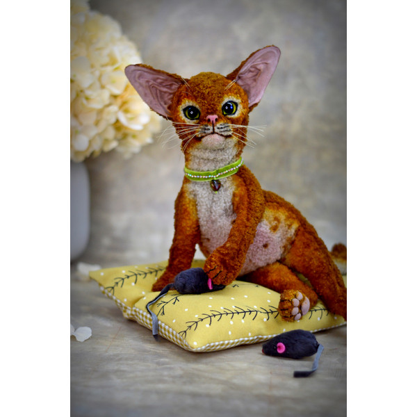 devon Rex kitten. red cat handmade (5).JPG