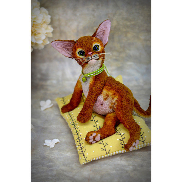 devon Rex kitten. red cat handmade (7).JPG