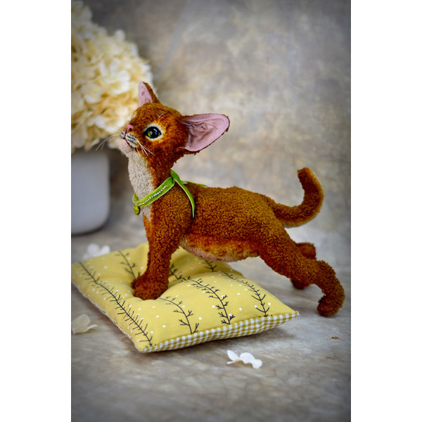 devon Rex kitten. red cat handmade (8).JPG