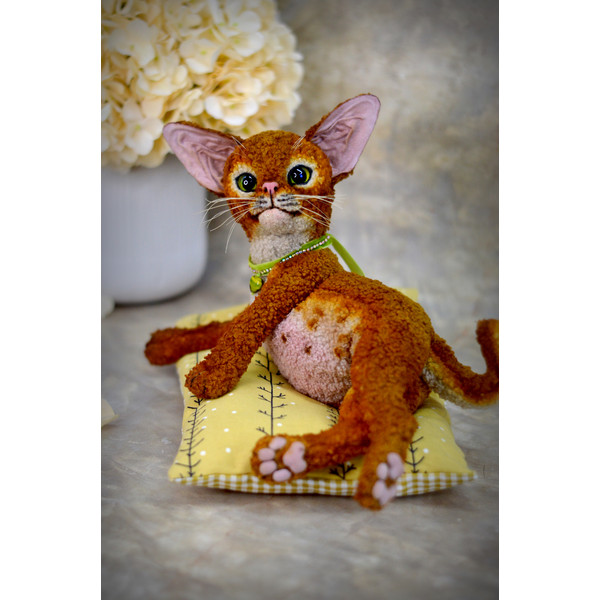 devon Rex kitten. red cat handmade (10).JPG