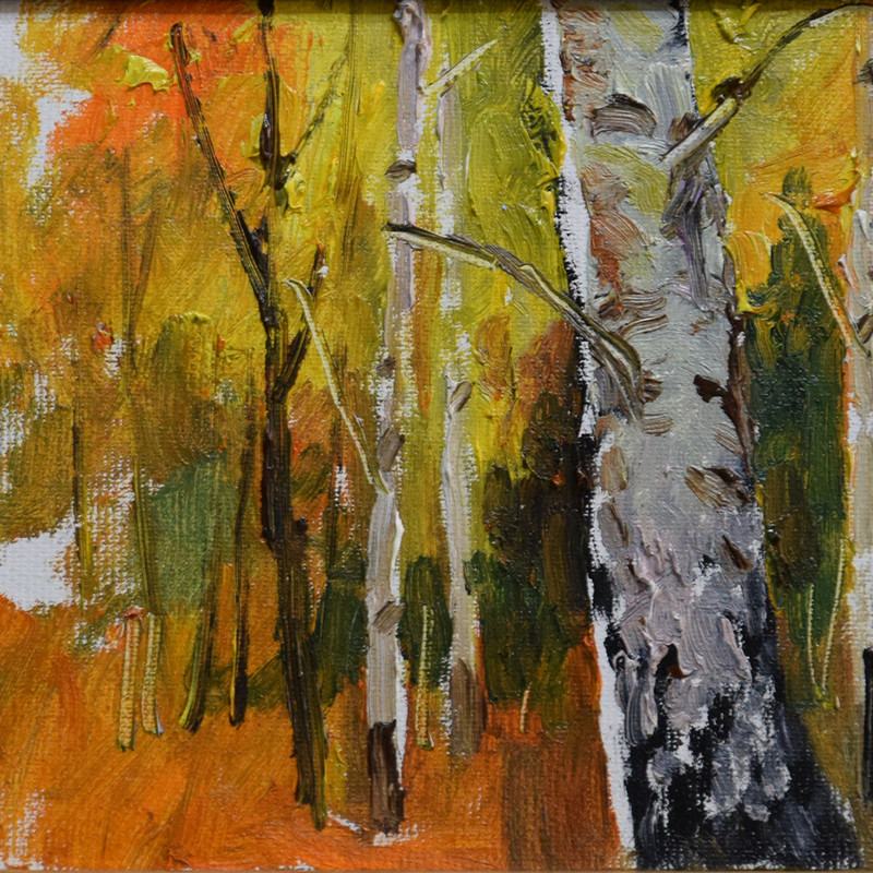 autumnal-birch-symphony-8-inch-oil-painting-framing-stunning-artwork-03.jpg