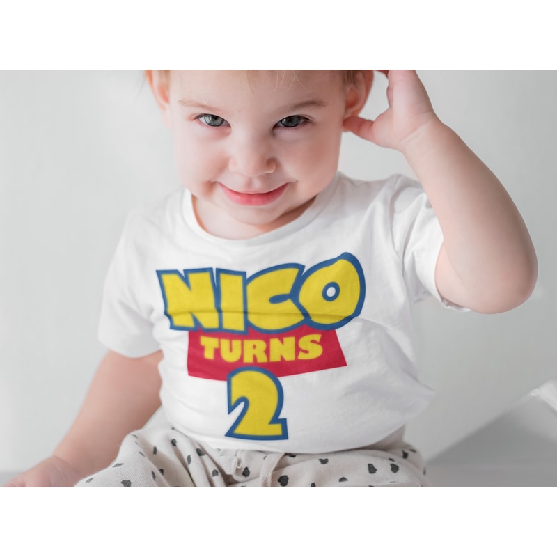 Toy Story Birthday Bundle svg png 777.png