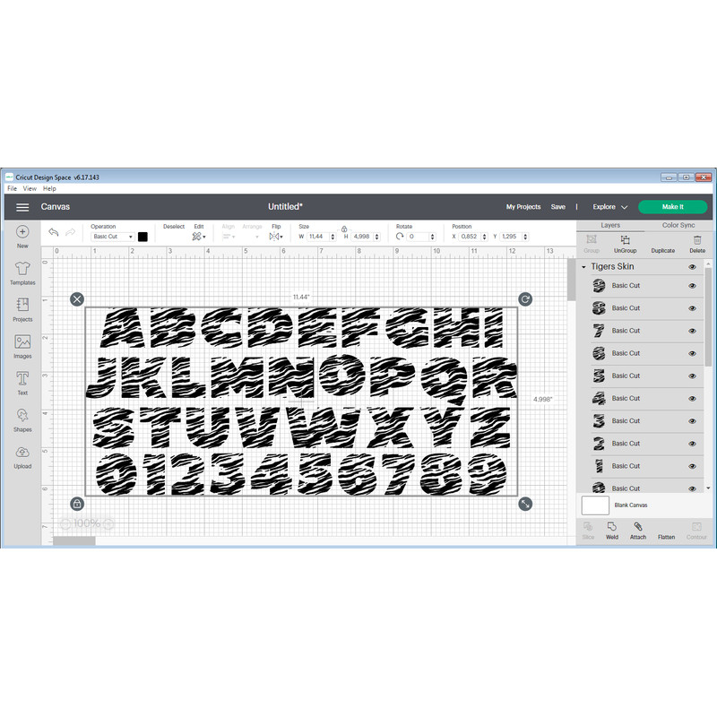 Tiger font ttf svg 444.png