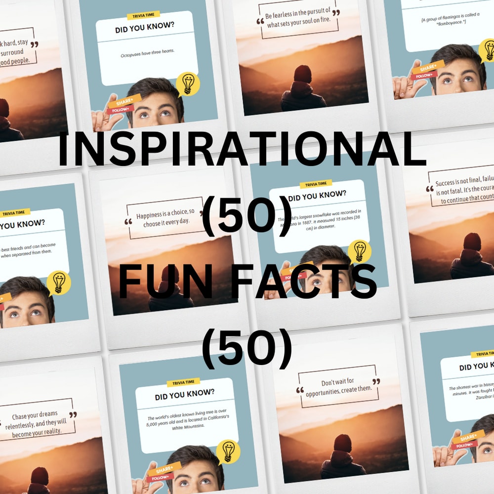 Instagram Mockup4.png