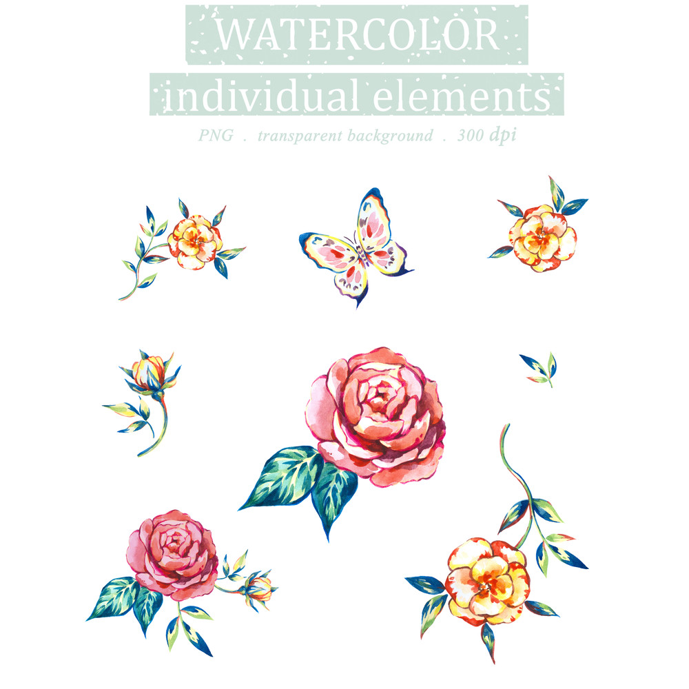Watercolor Illustration set Of roses with butterflies, Floral Clipart PNG and patterns.jpg