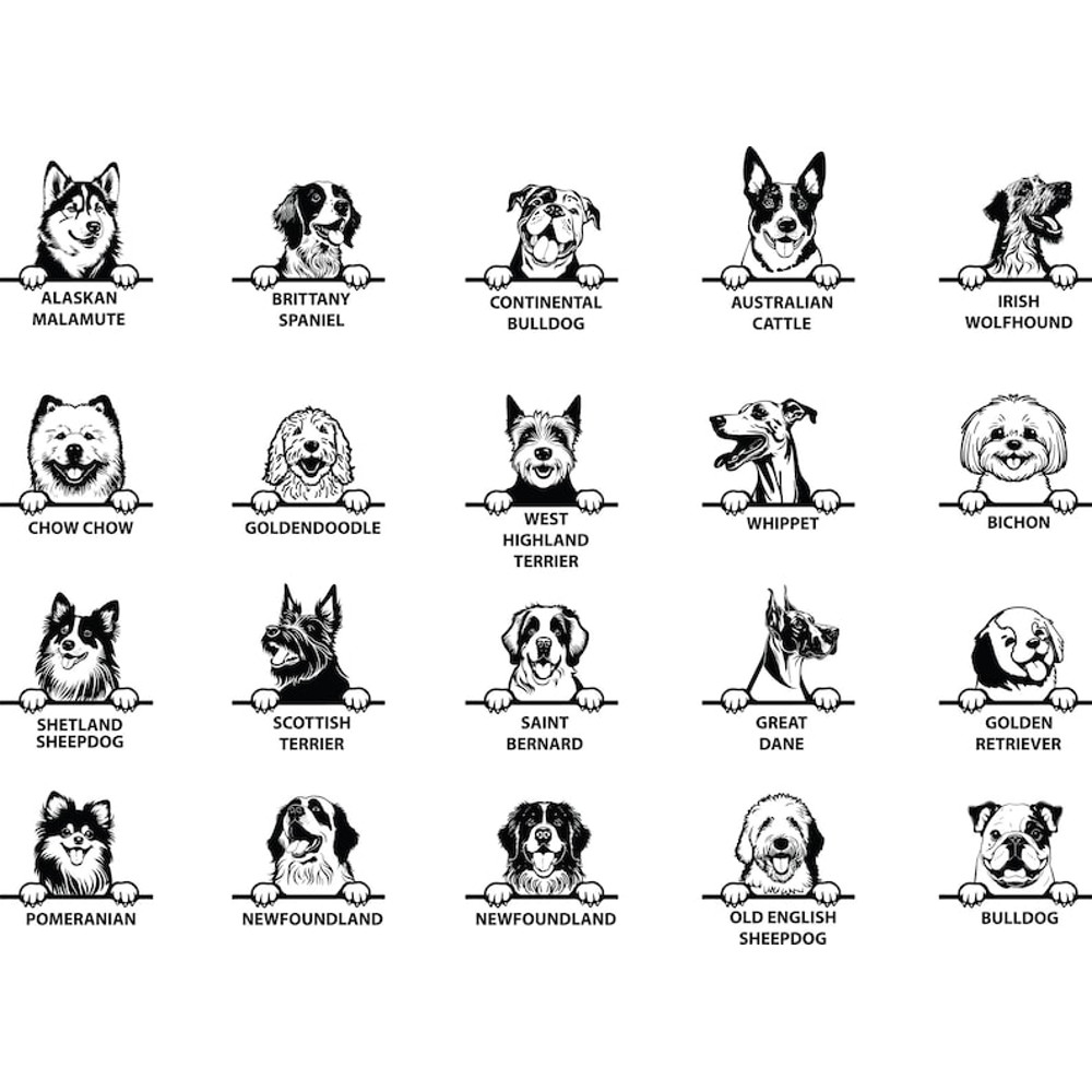 WhatsApp Image 2023-05-27 at 23.32.57.jpeg