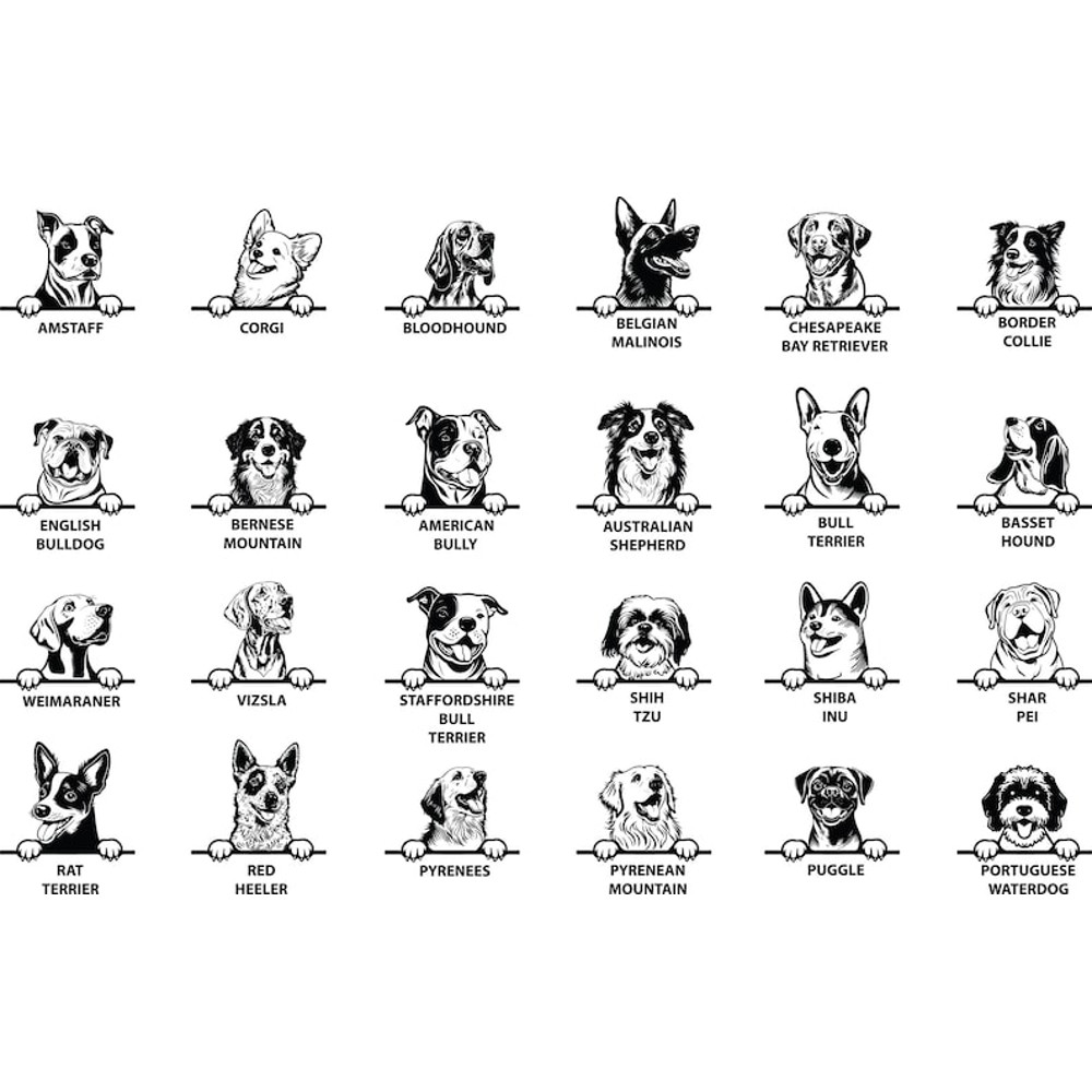 WhatsApp Image 2023-05-27 at 23.32.57 (1).jpeg