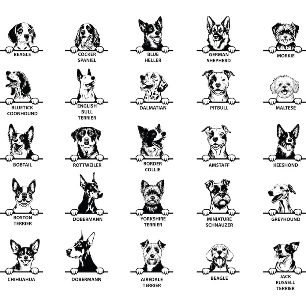 WhatsApp Image 2023-05-27 at 23.32.58.jpeg