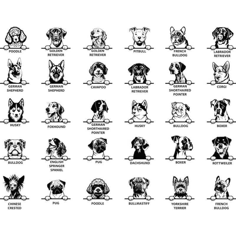 WhatsApp Image 2023-05-27 at 23.32.58 (1).jpeg