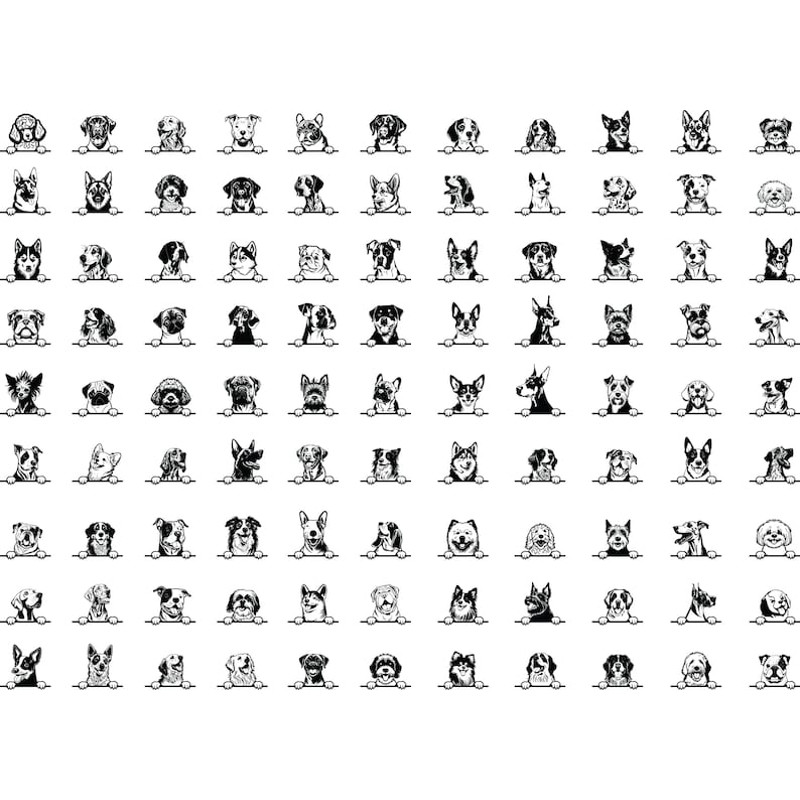 WhatsApp Image 2023-05-27 at 23.32.58 (2).jpeg