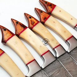 Handmade Damascus Chef Knife Set of 5Pcs With Multi Color Dollar Sheet Gift for Husband Kitchen Knife Groomsmen Gift For