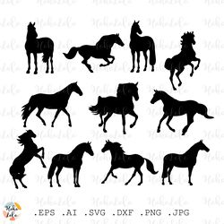 horse svg, horse silhouette, horse cricut, stencil template dxf, clipart png, horse clipart, horse cutting files