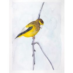 Evening Grosbeak bird original watercolor painting Hawfinch yellow bird tree artwork rustic kitchen home wall art decor