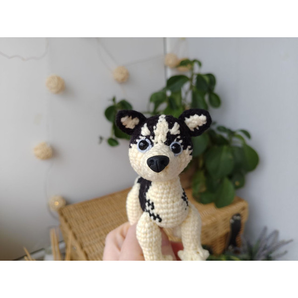 Miniature dog Realistic Husky. plush puppy toy 3.jpg
