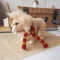 Stuffed lion toy gift for Harry Potter fans 4.jpg