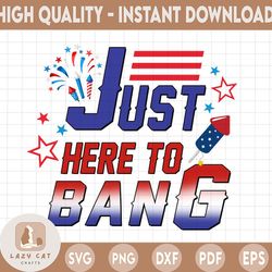 funny 4th of july im just here to bang usa flag png, american flag, funny independence day, 4th of july png, patriotic