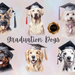 graduation dog PNG clipart, sublimation designs, creative Fabrica, dog graduation clipart, PNG clipart for sublimation,