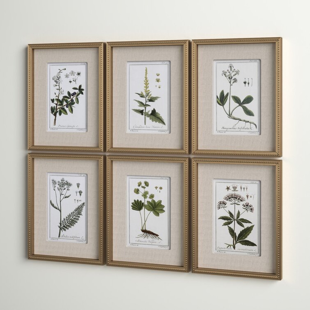 Botanical+Study'+-+6+Piece+Picture+Frame+Graphic+Art+Print+Set+on+Paper (1).jpg
