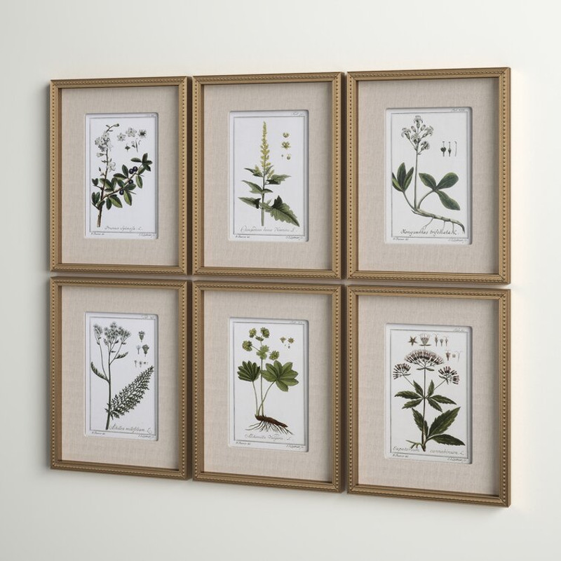 Botanical+Study'+-+6+Piece+Picture+Frame+Graphic+Art+Print+Set+on+Paper (1).jpg