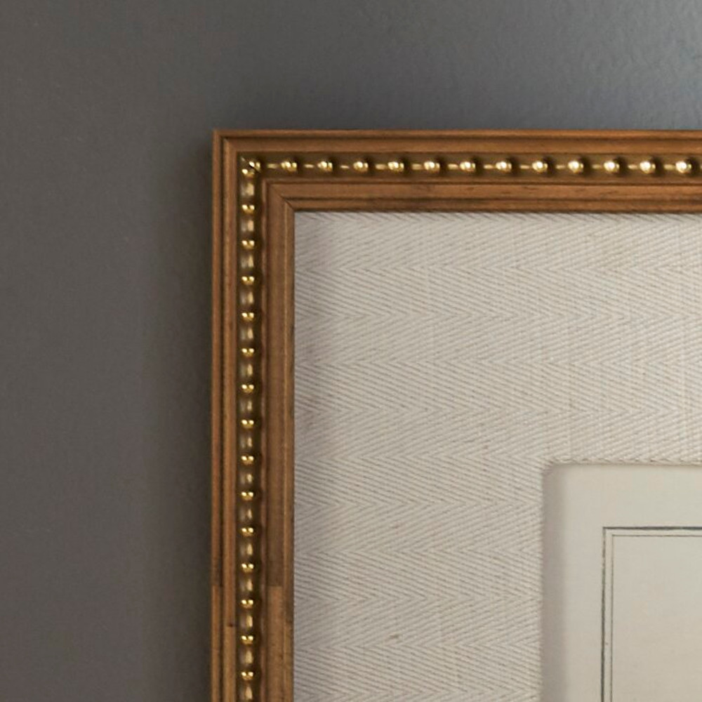 Botanical+Study'+-+6+Piece+Picture+Frame+Graphic+Art+Print+Set+on+Paper (2).jpg