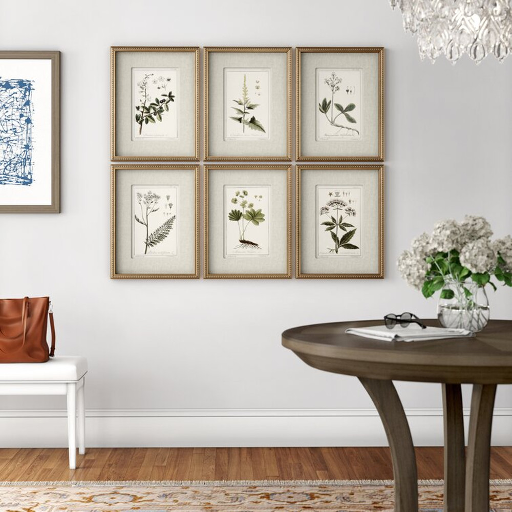 Botanical+Study'+-+6+Piece+Picture+Frame+Graphic+Art+Print+Set+on+Paper.jpg