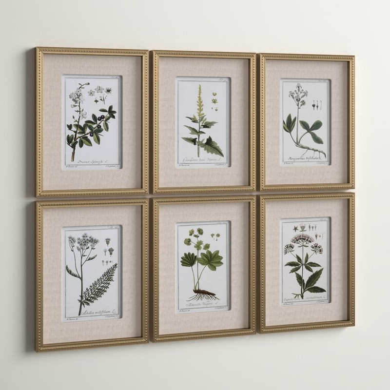 Botanical+Study'+-+6+Piece+Picture+Frame+Graphic+Art+Print+Set+on+Paper (4).jpg